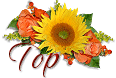 SHERINA�p��b