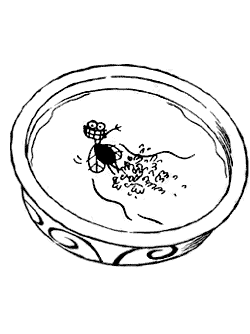 Illustration of fly swimming backstroke in soup bowl.