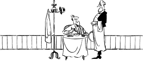 Illustration of man at table talking with waiter.